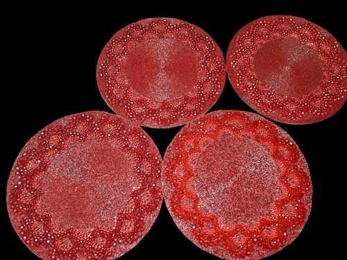 Kim seybert red - kim,